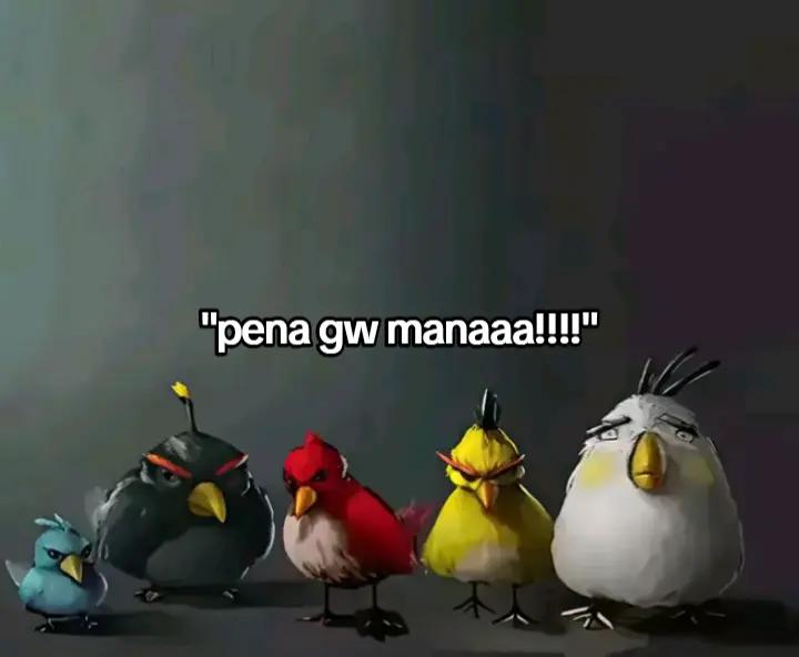 @yawwwds