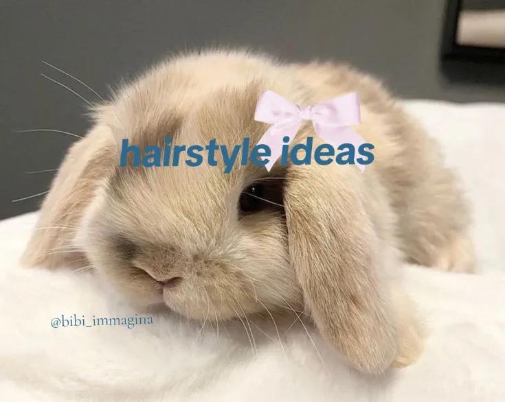 @bibi