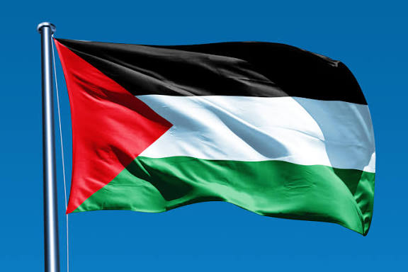 @shoug 🇵🇸