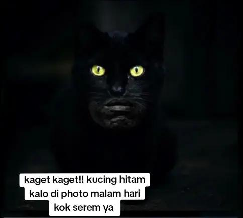 @witrriana&yans