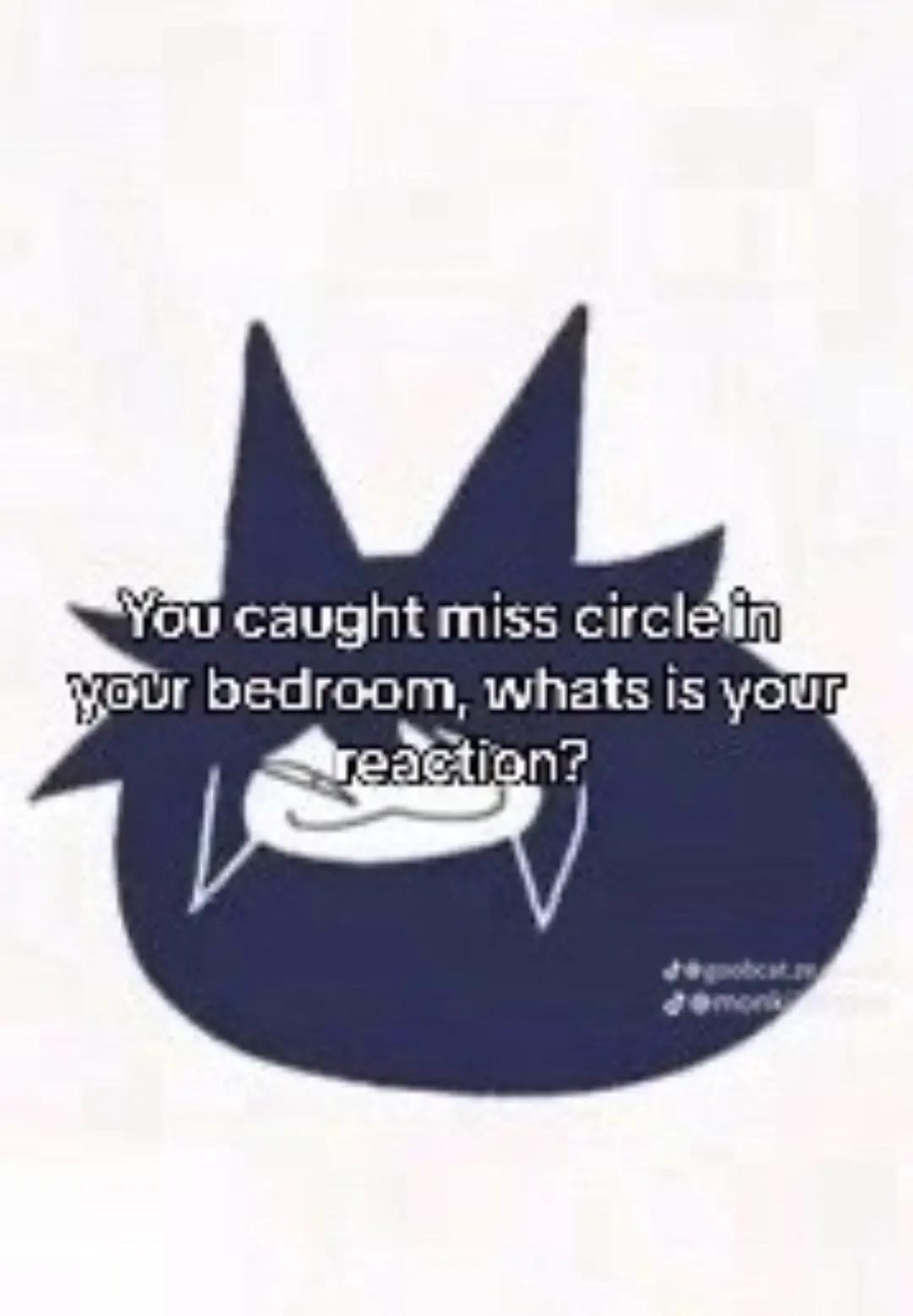@angry cat