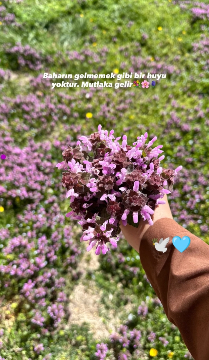 @Zübeyde karakaş 💜💙❤🩵