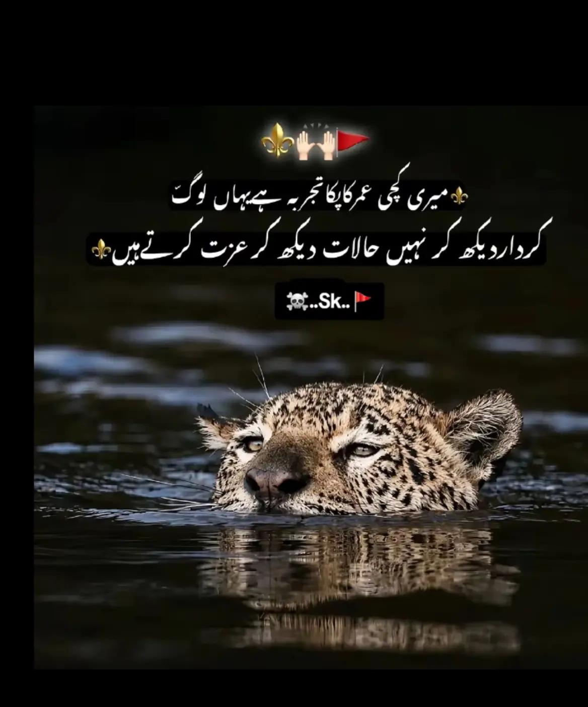 @jameel