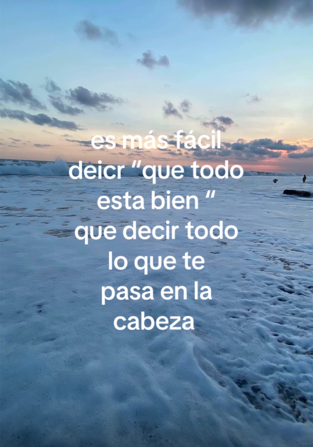 @ara🐚
