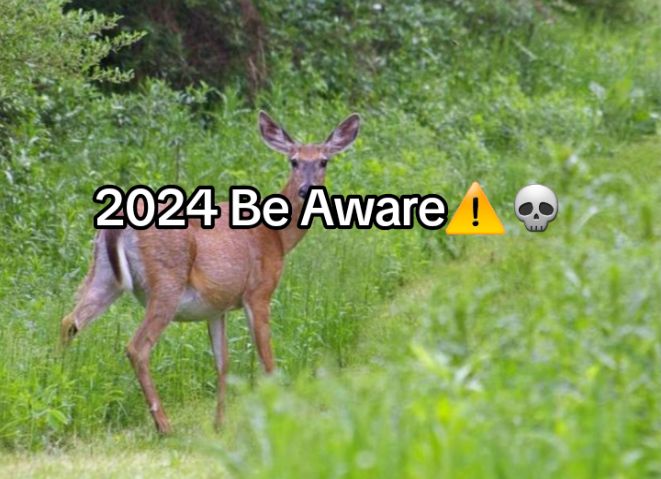 @Creepy.org