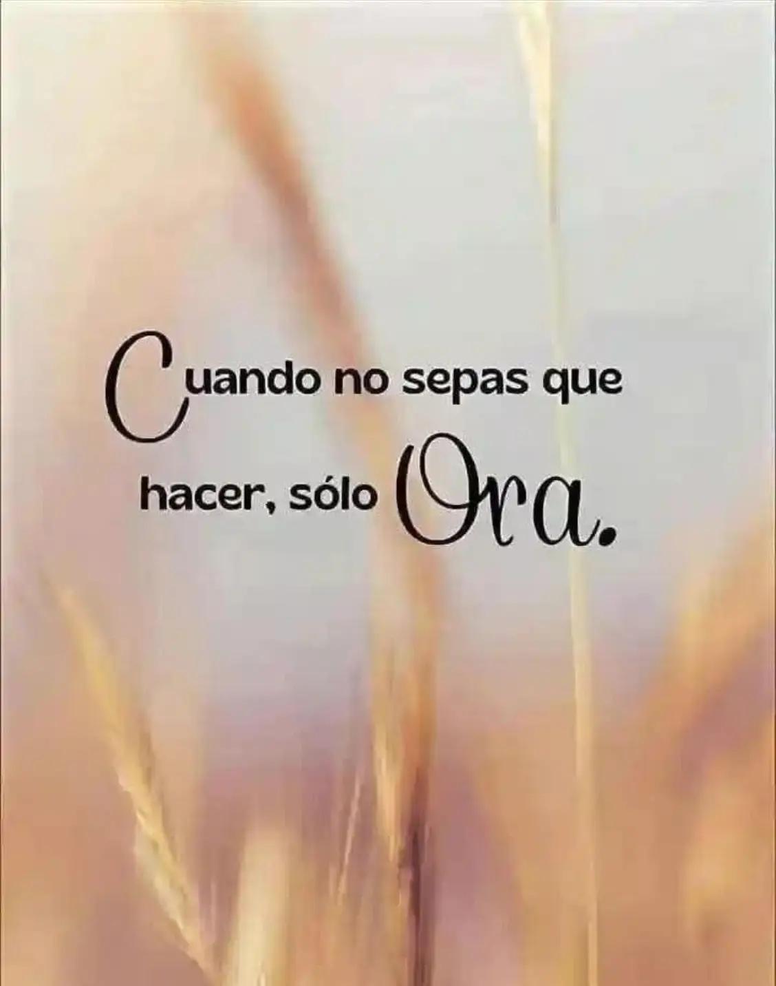 @Ingrid Moreno