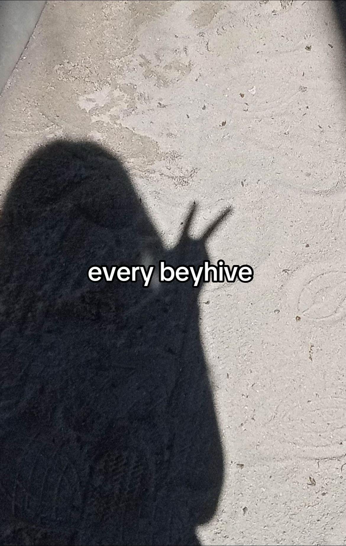 @cowboy camilla