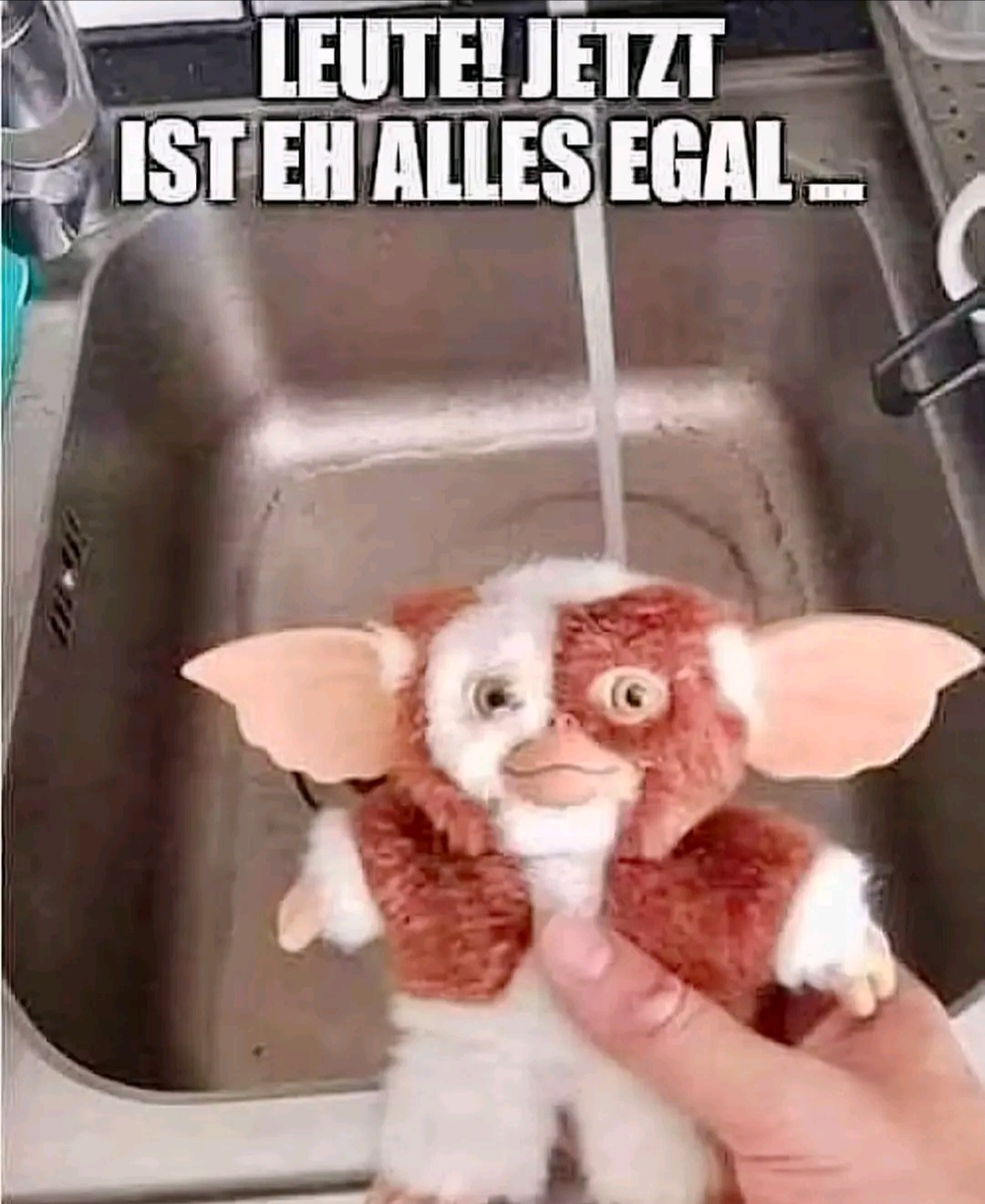@Hoschie