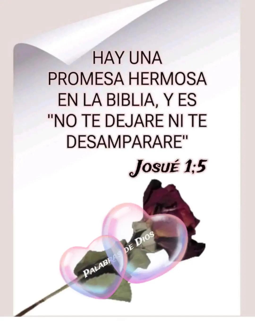 @Mariela 💖