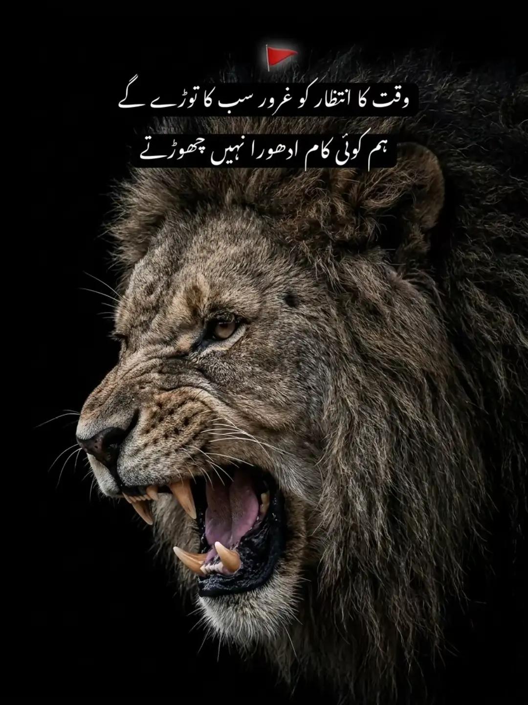 @Talhat Hussain