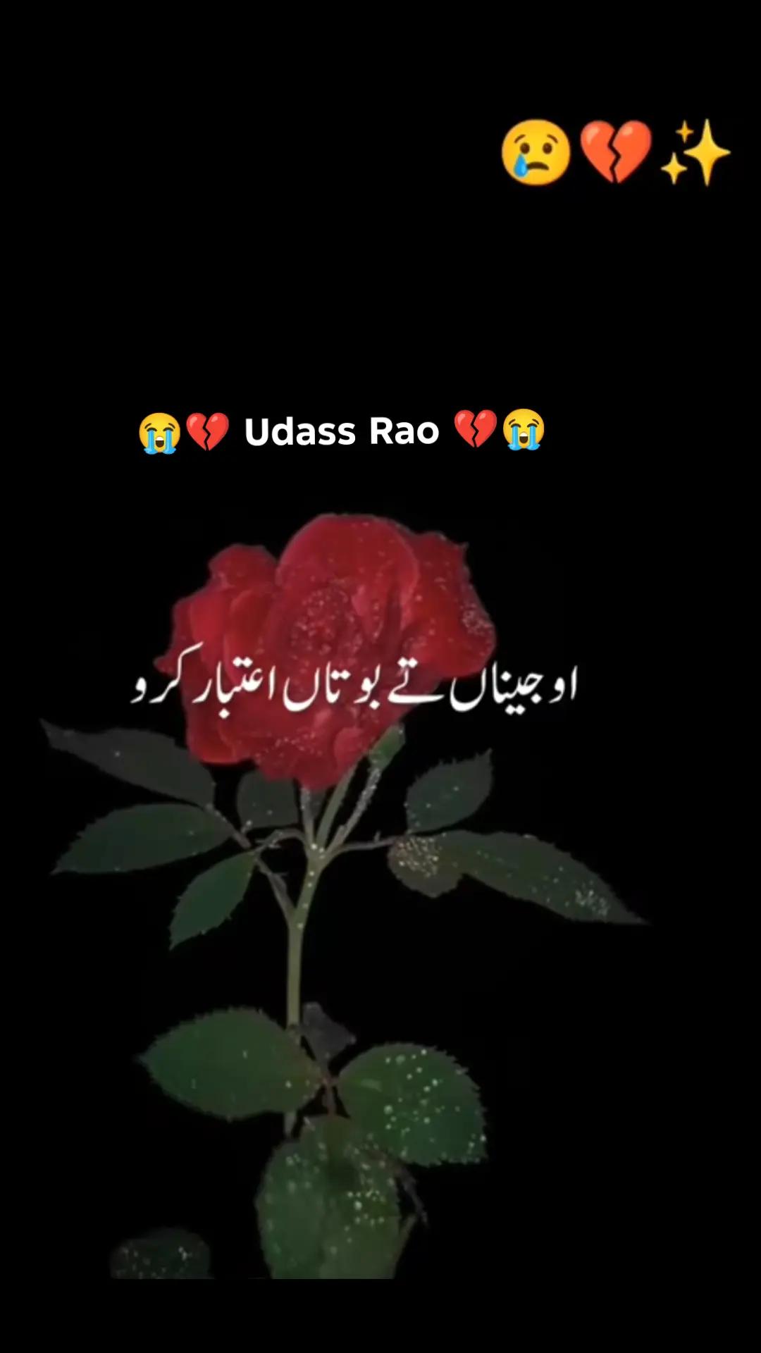@💔 U͢d͢a͢s͢s͢ R͢a͢o͢ 💔
