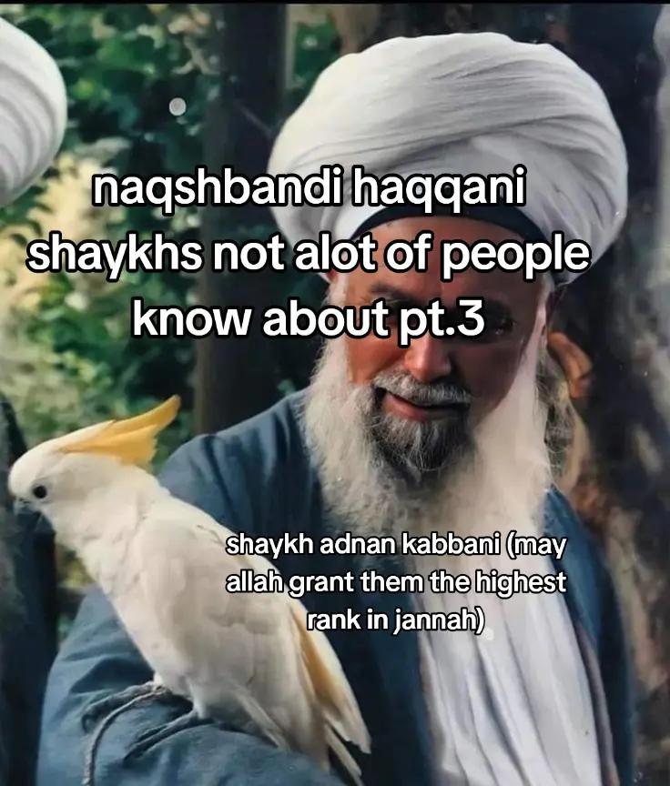 @mureed