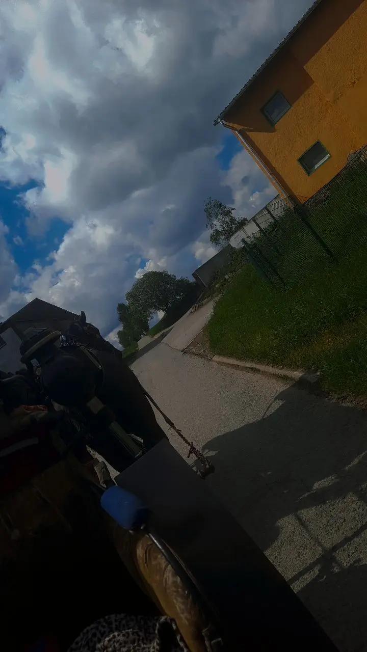 @Rindvieh