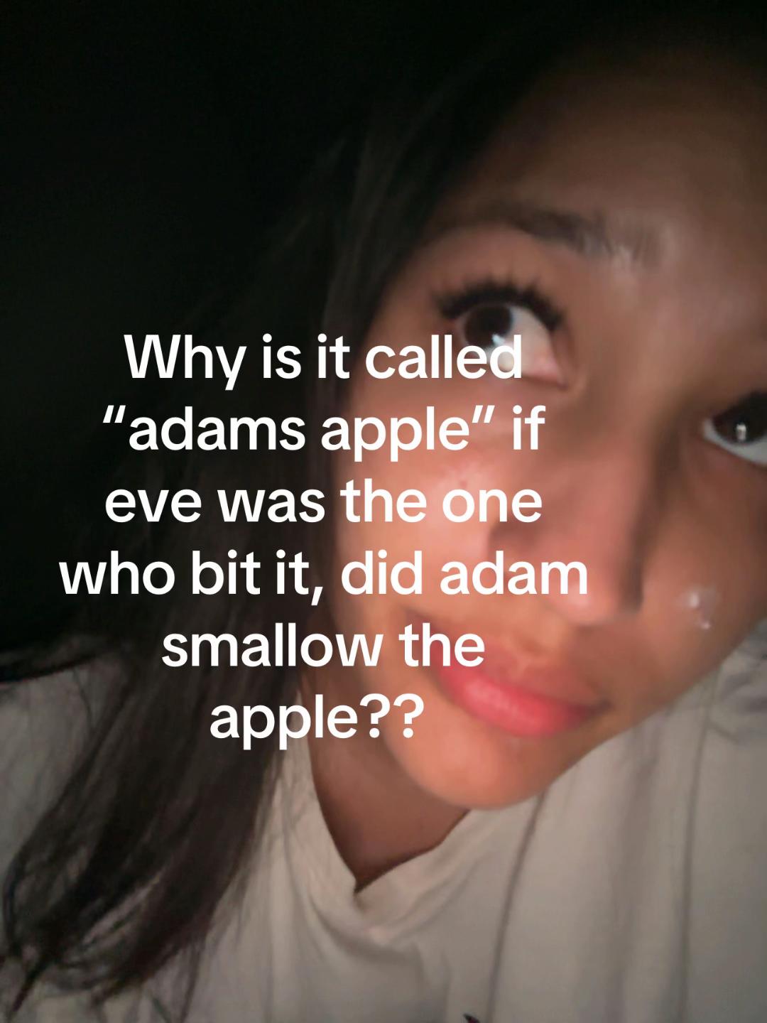@fridgecookie
