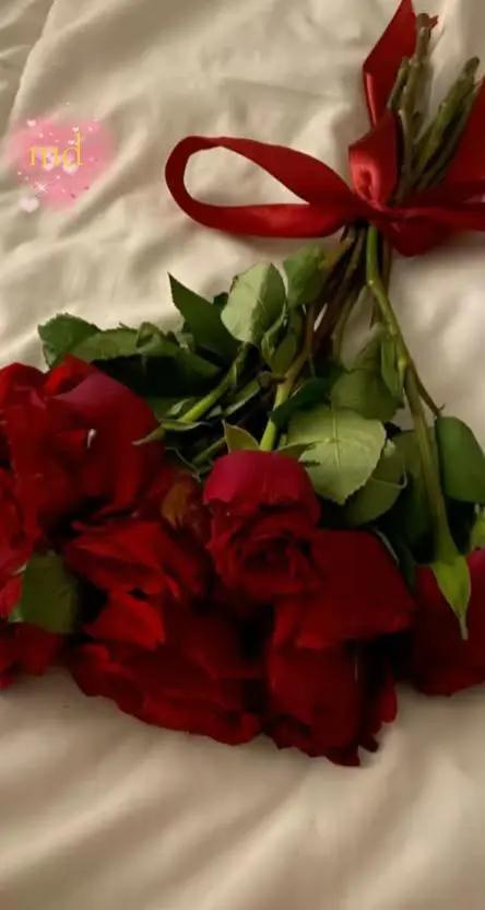 @mondher debichi🇹🇳🇲🇫🫶🫶❤️
