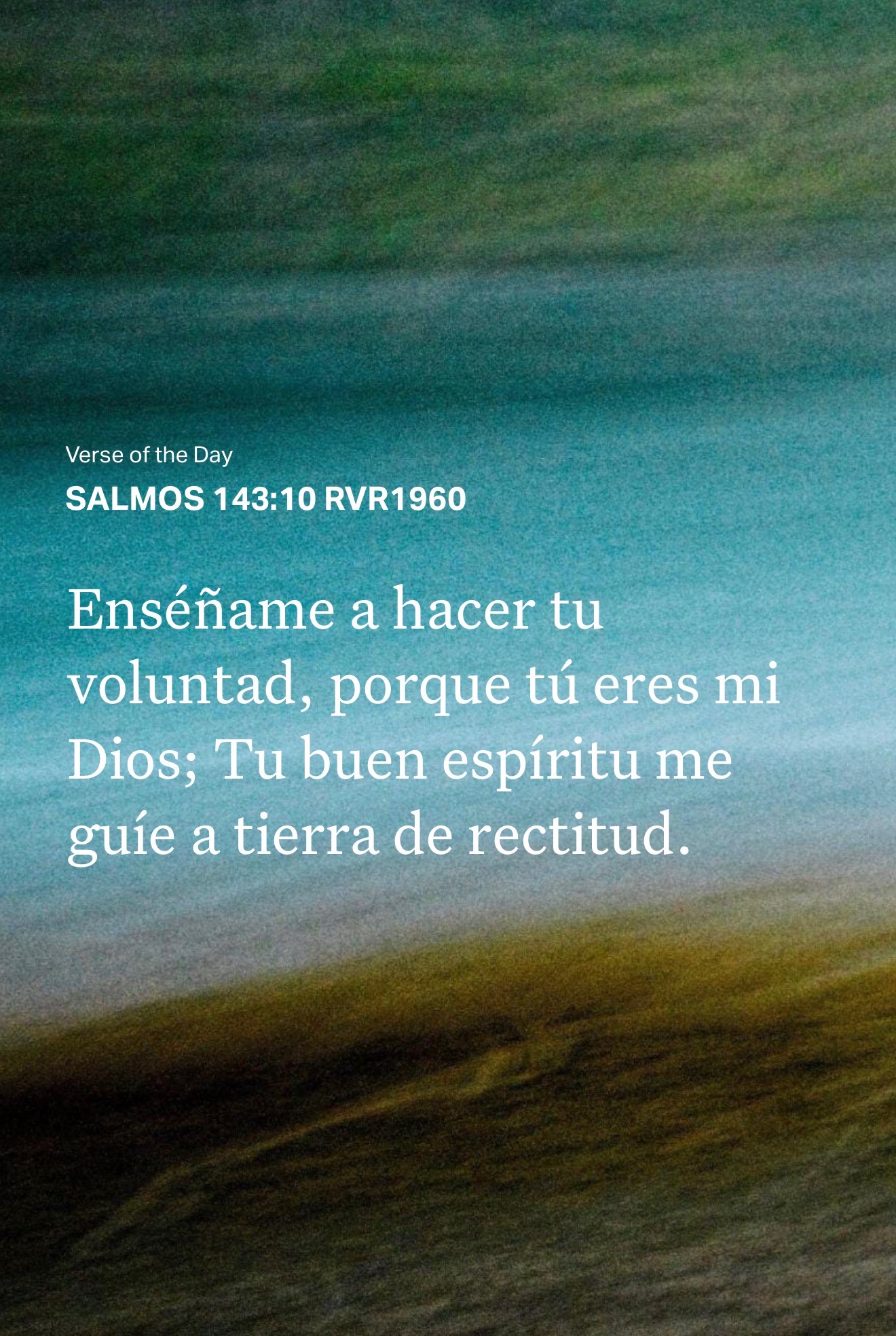 @Ministra Lizbeth Almonte 🦋🌷