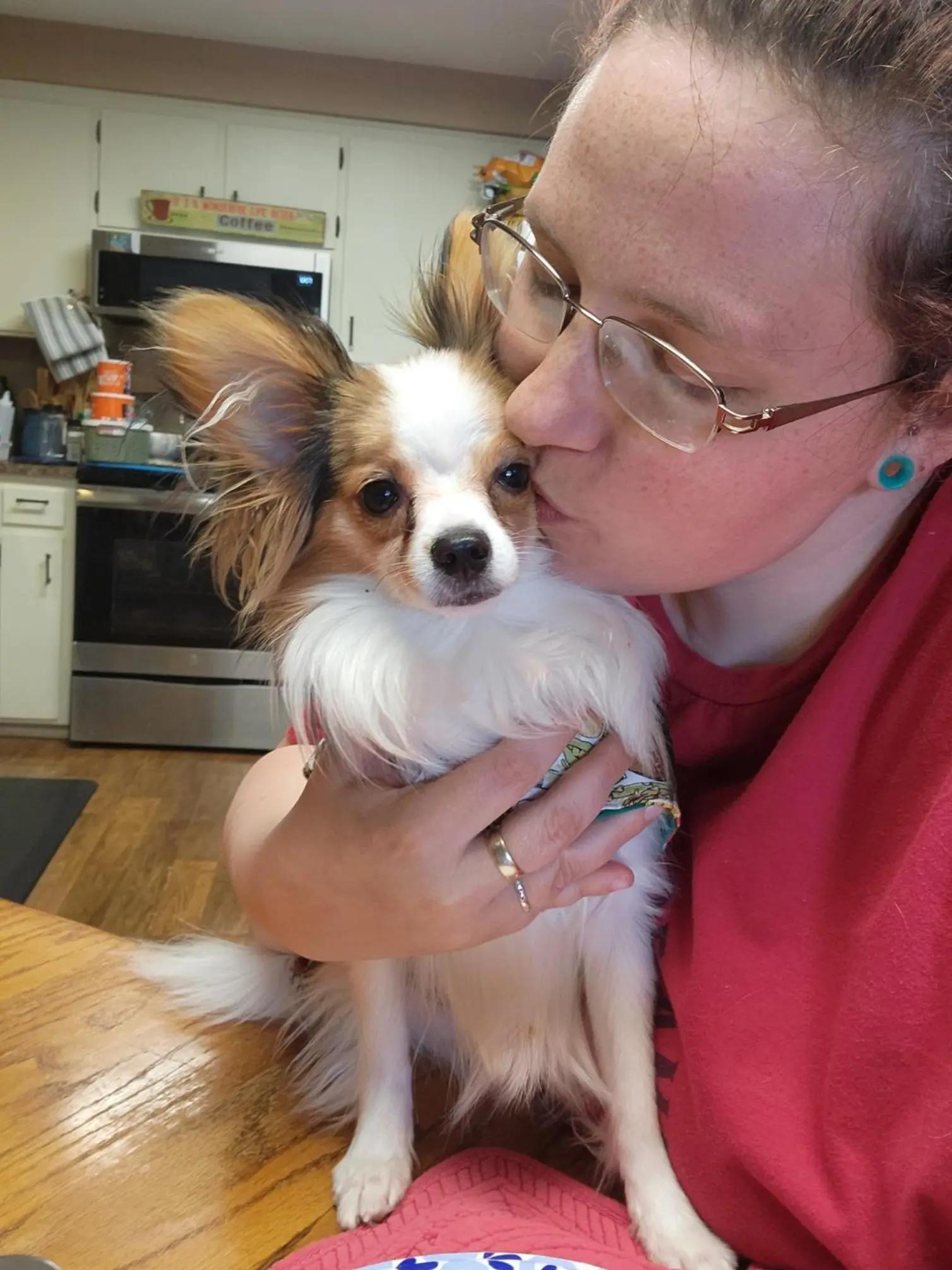@🐾That Papillon Lady🐾