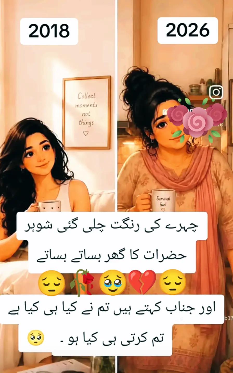 @Hassan Hussain💞