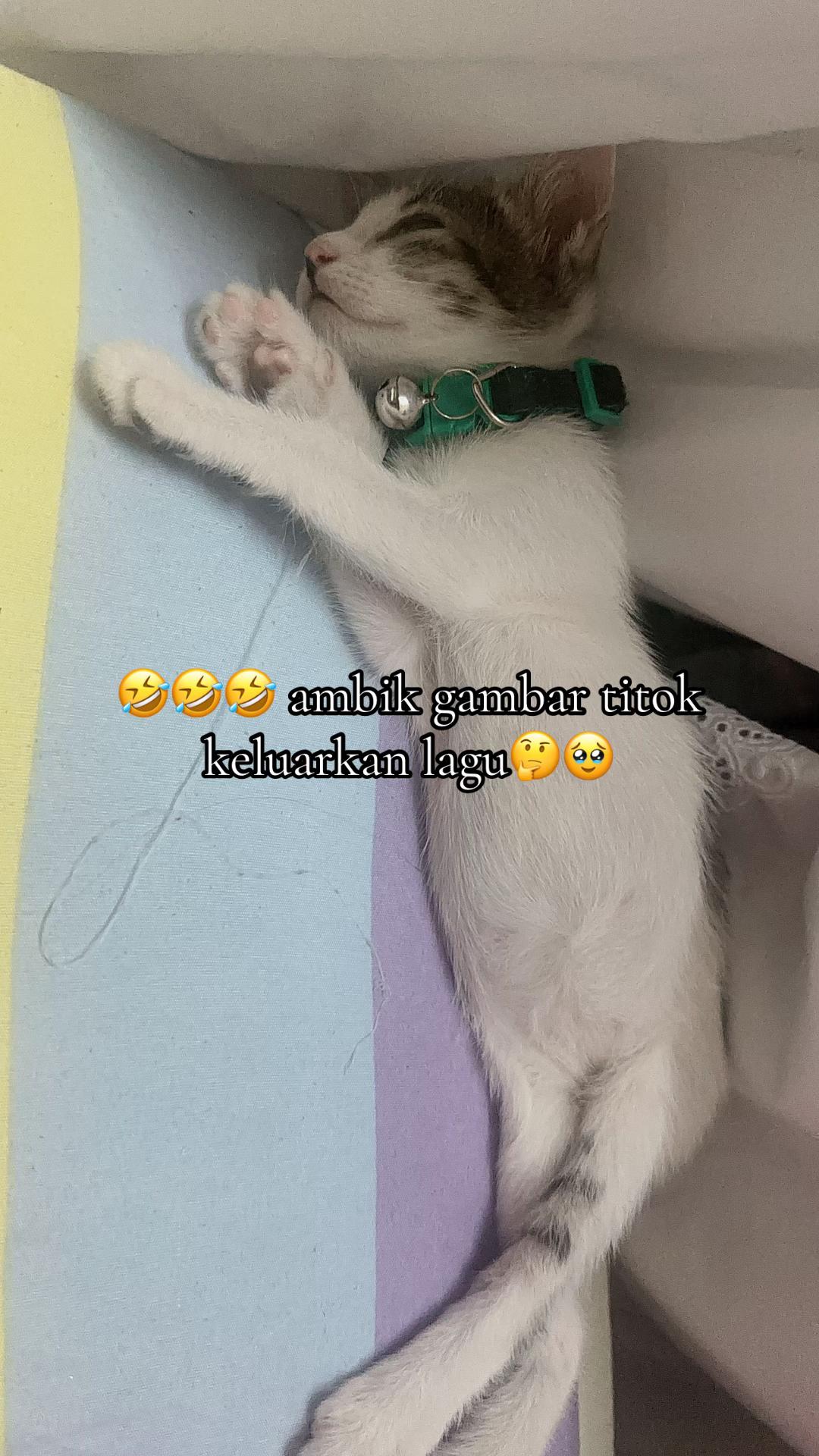 @๐โ๐ฆ๐ฅ๐๐ฃ๐ ๐ด๐ผ๐ผ๐ฐ๐๐