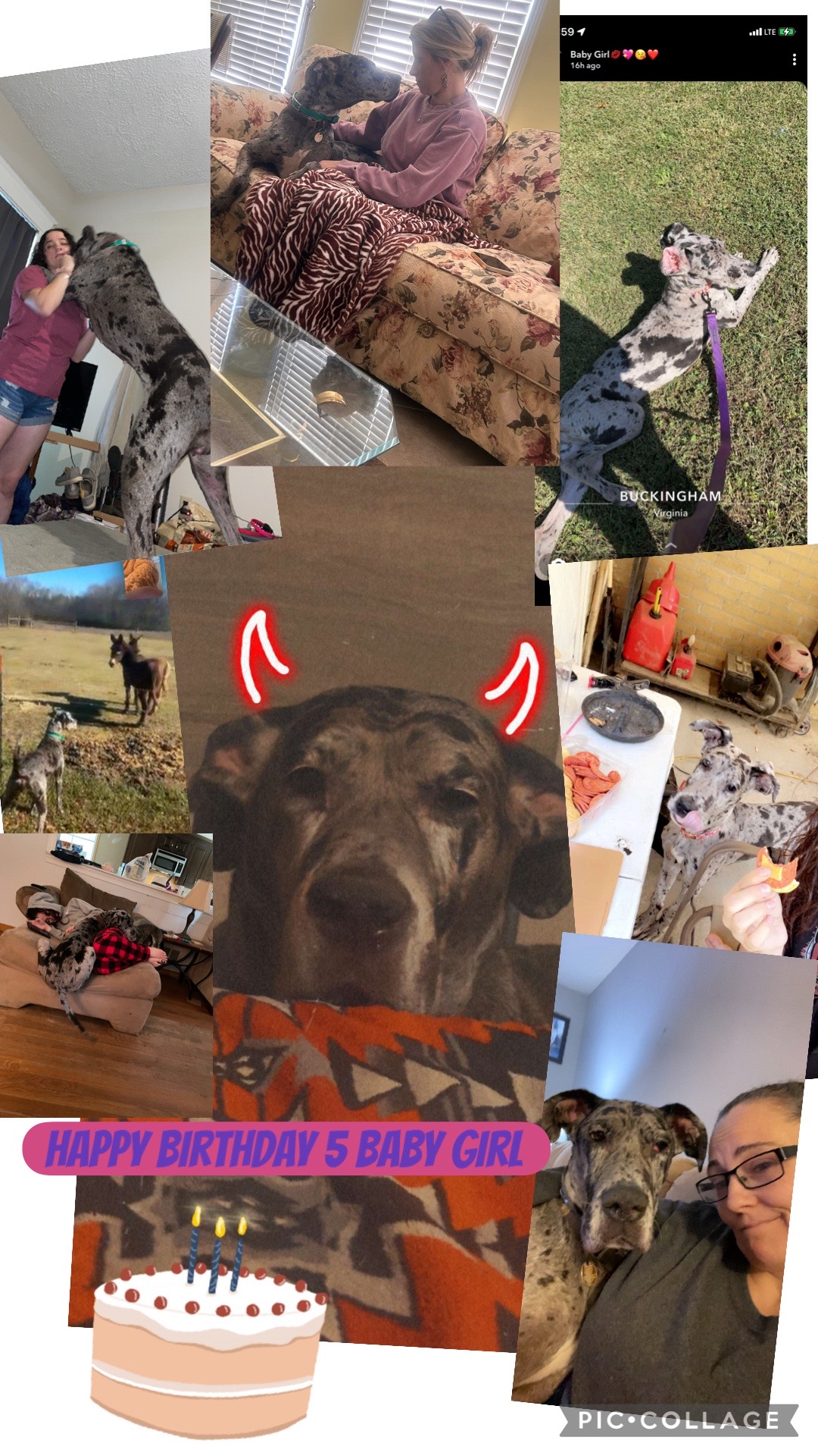 @🎡𝐒𝐚𝐯𝐚𝐠𝐞 ★ 𝓠𝓾𝓮𝓮𝓷 🎡