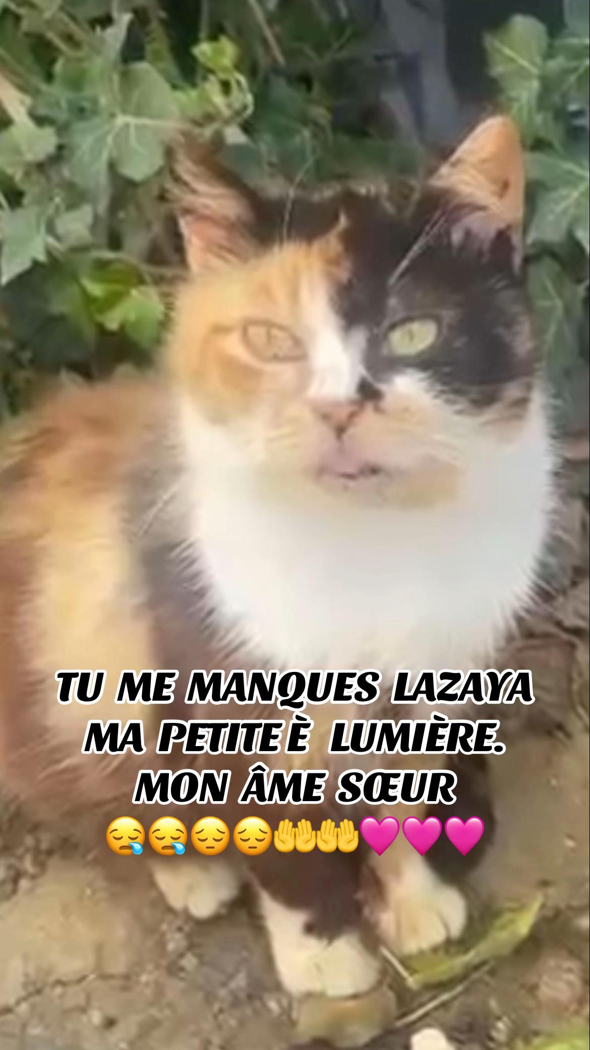 @NanouKira