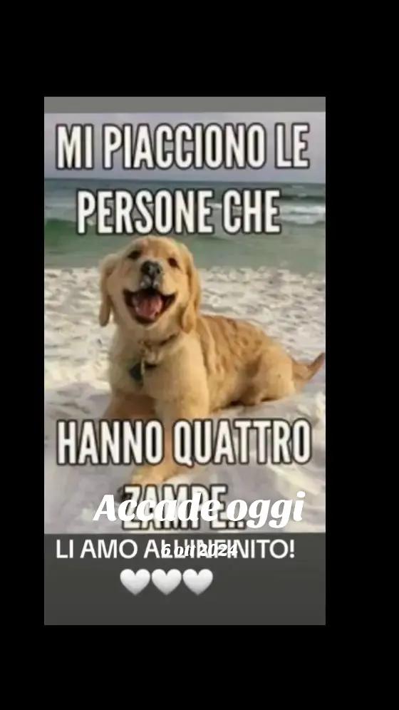 @Michele Scialla ๐ฉต๐ค๐ฉต๐ค
