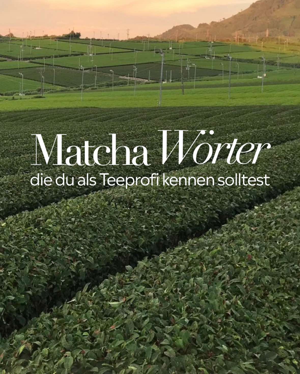 @matchakaru