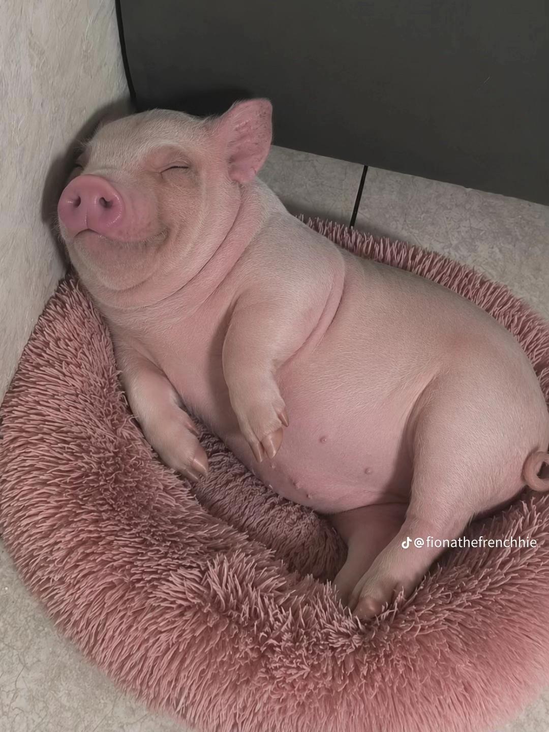 @Michelle tripodi