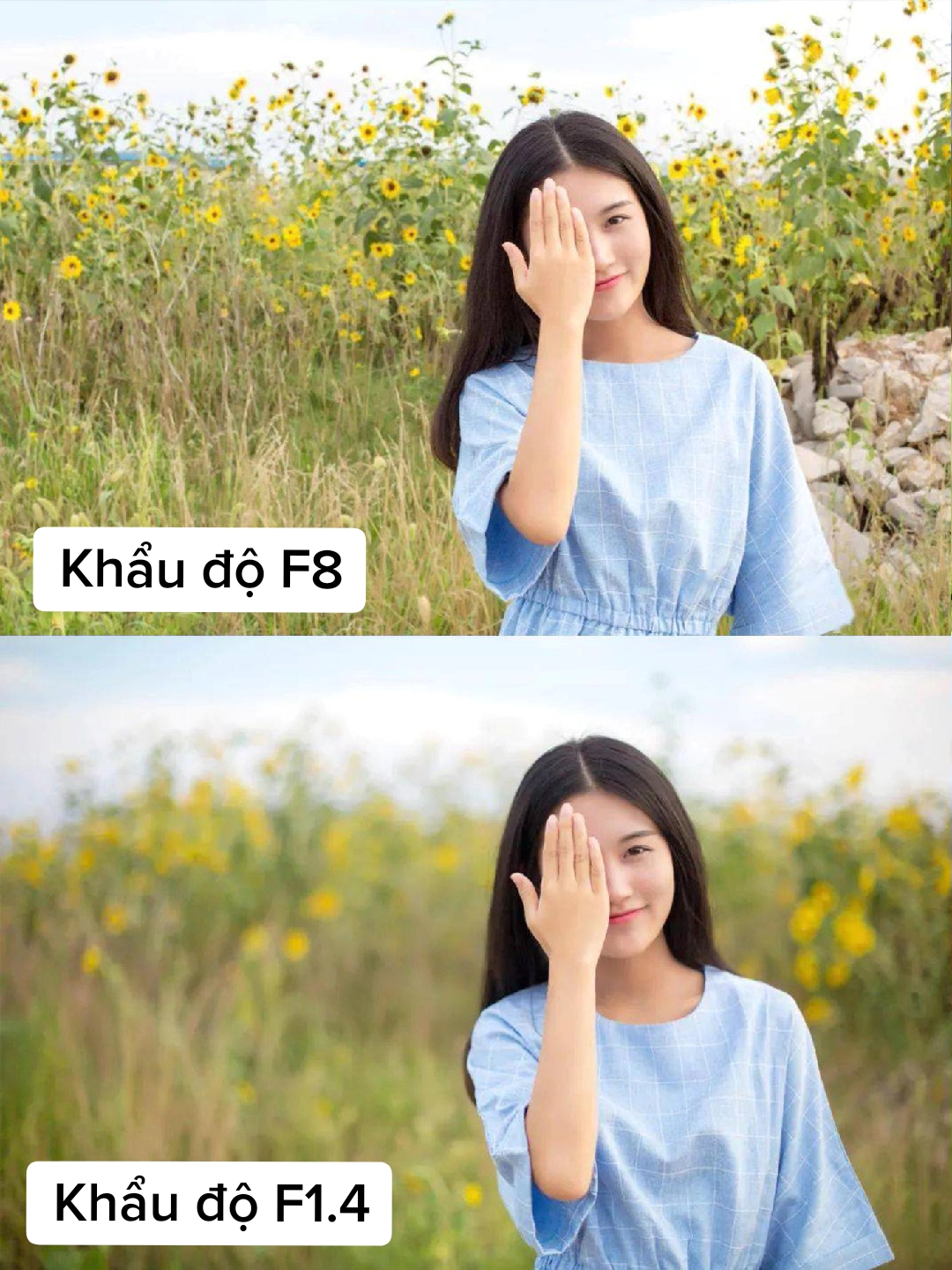 @Thắng M&aacute;y Ảnh Photography  📷