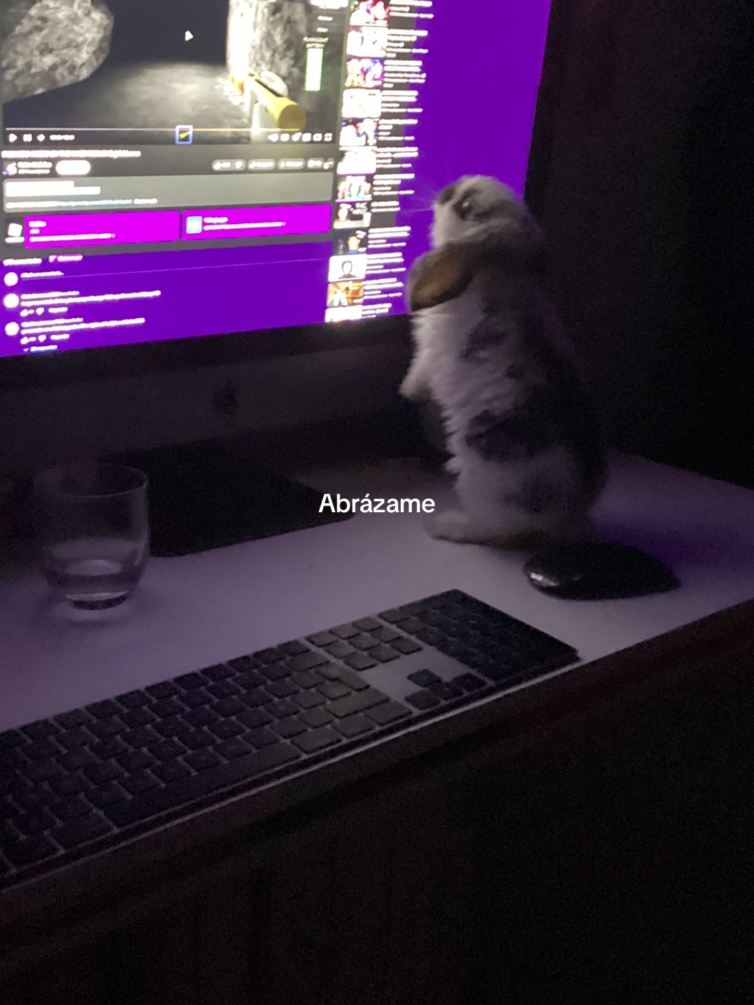 @🐰