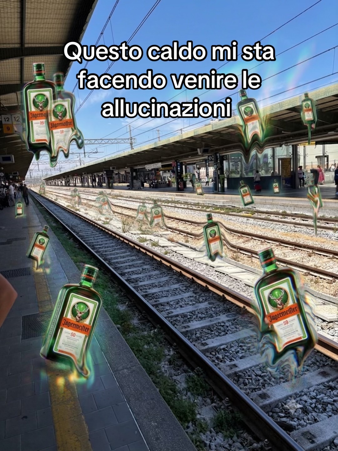 @domenico.facchini
