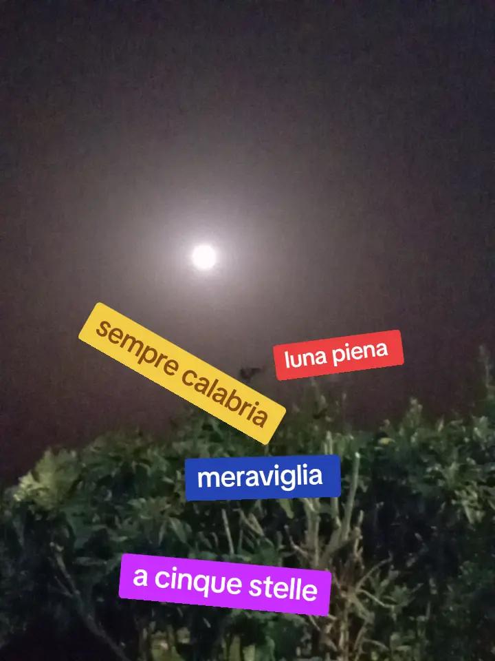 @prof. Angelo Milano☮️💯💗