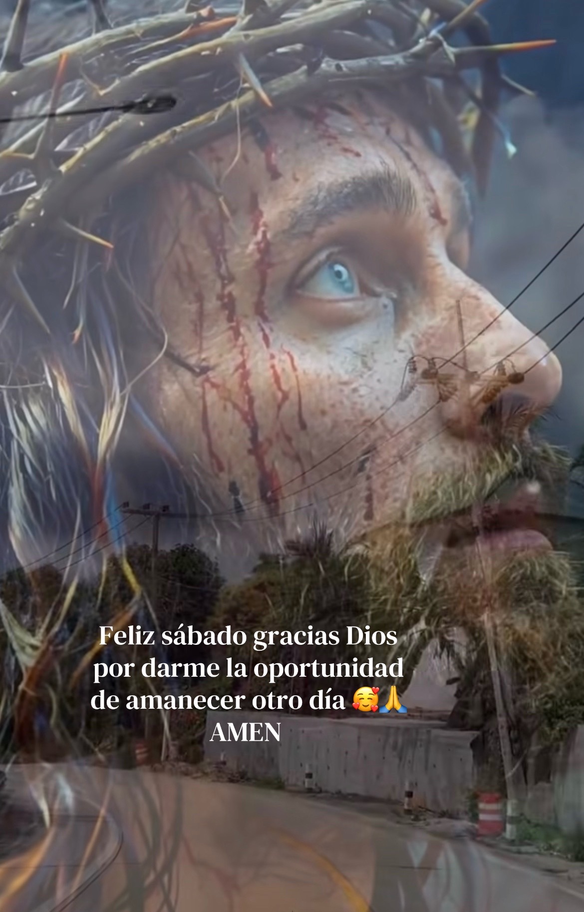 @Ana Celia🥰❤️