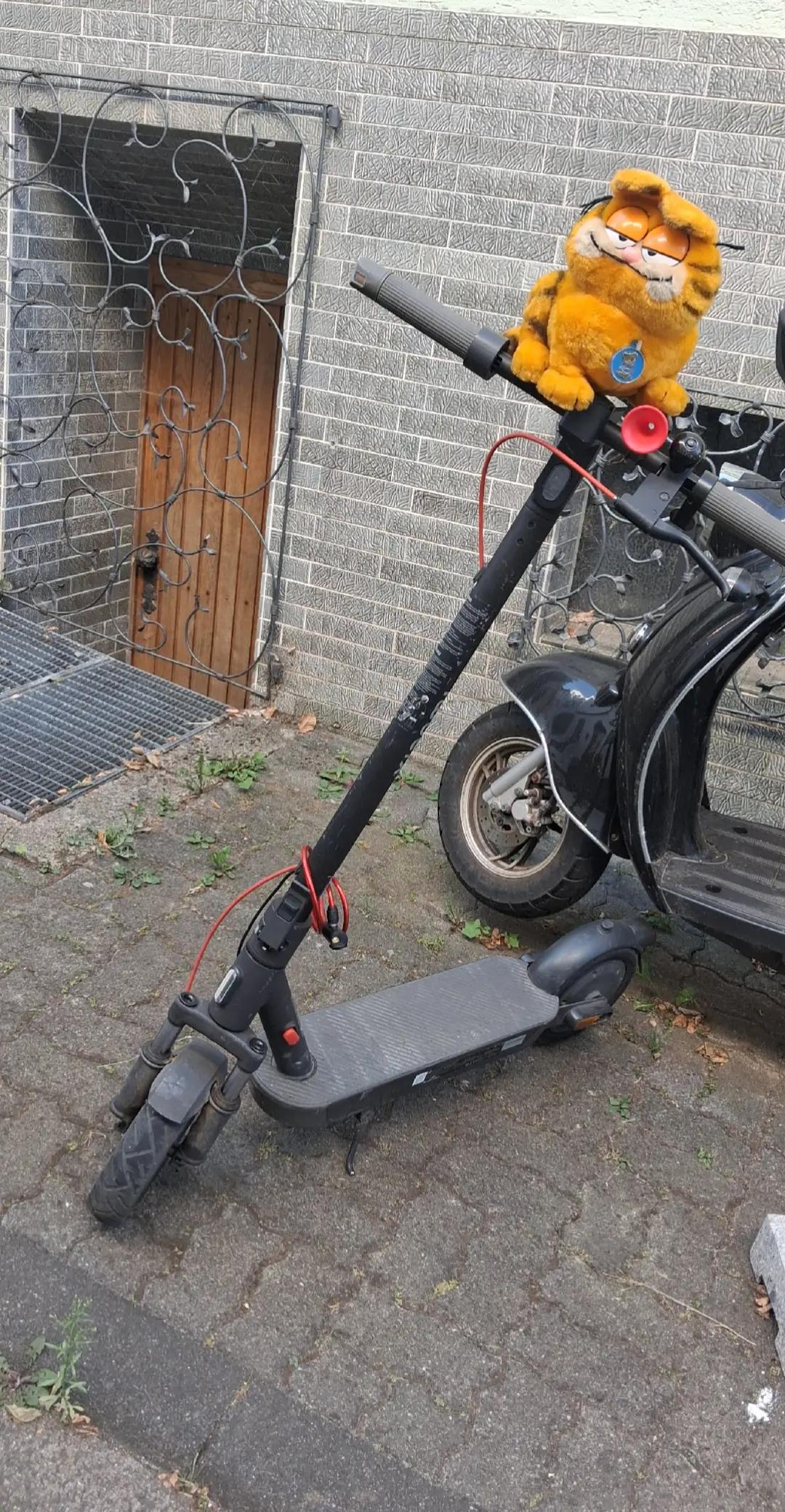 @e scooter videos