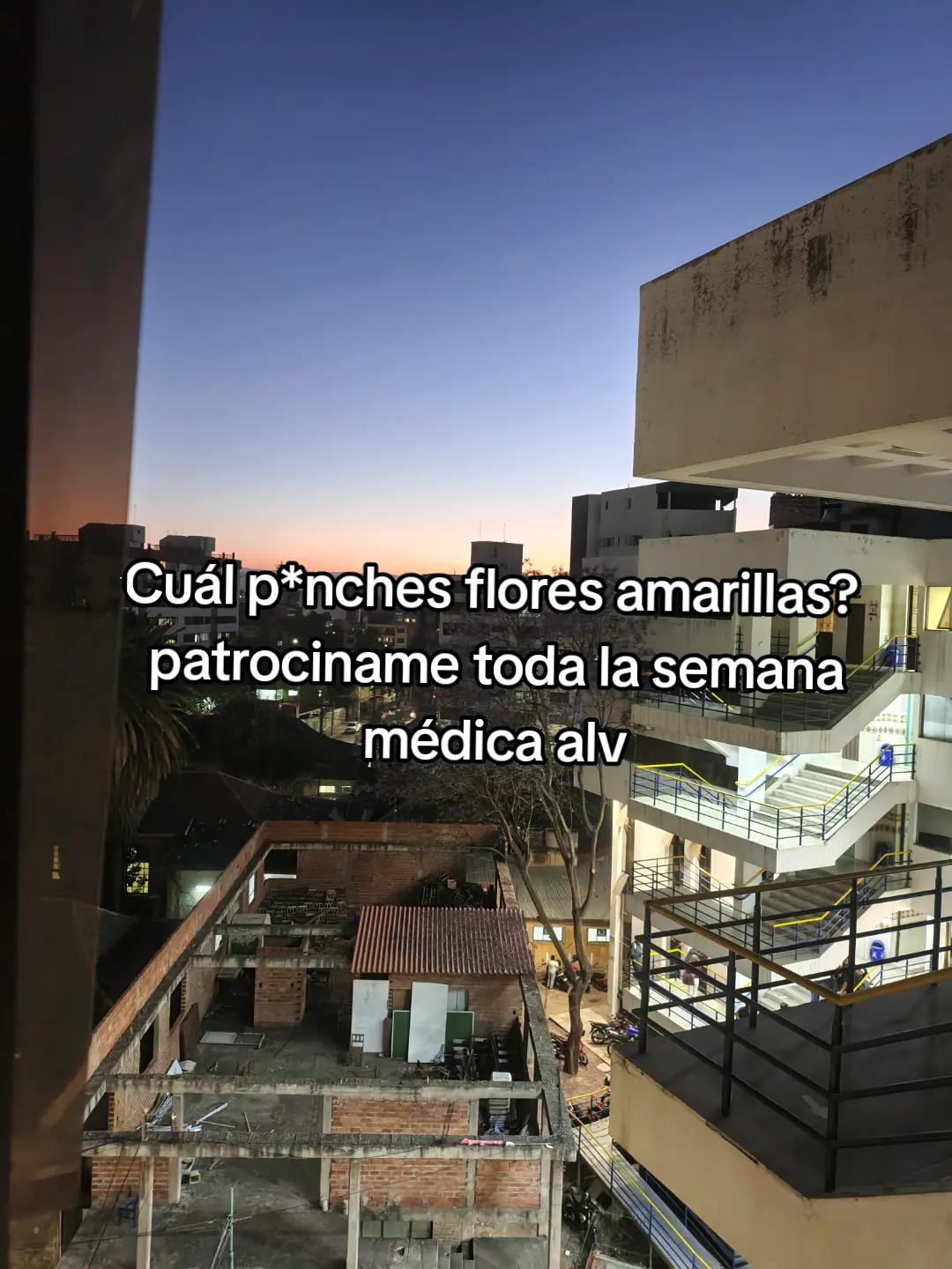 @Maite H Rojas
