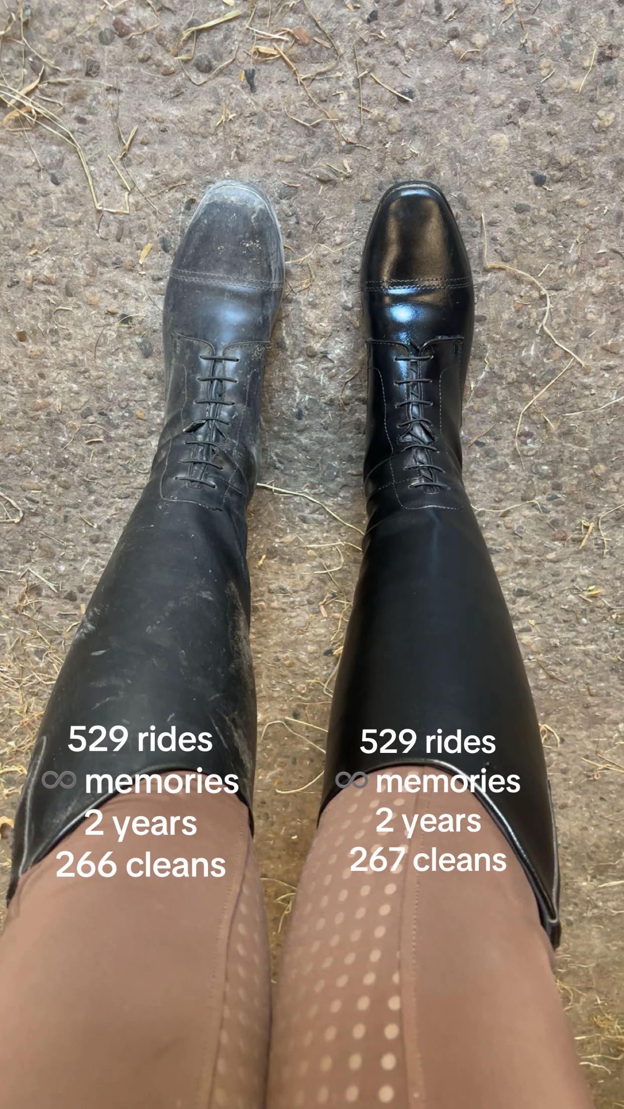 @equinikola