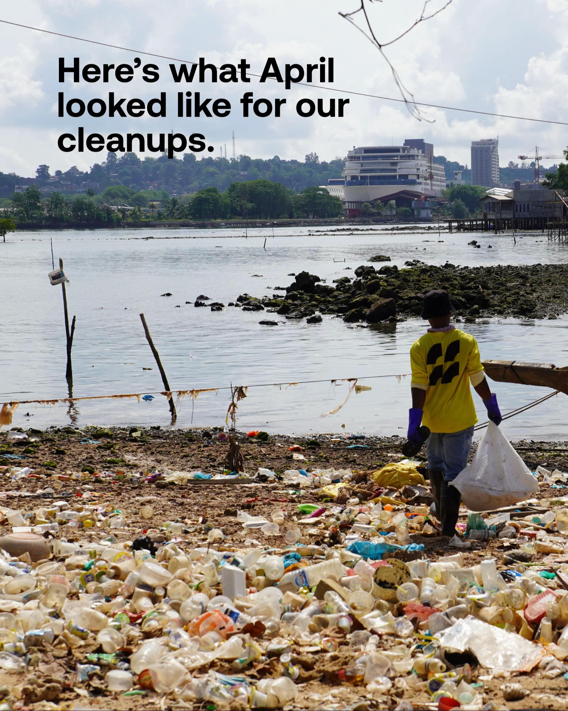 @Seven Clean Seas