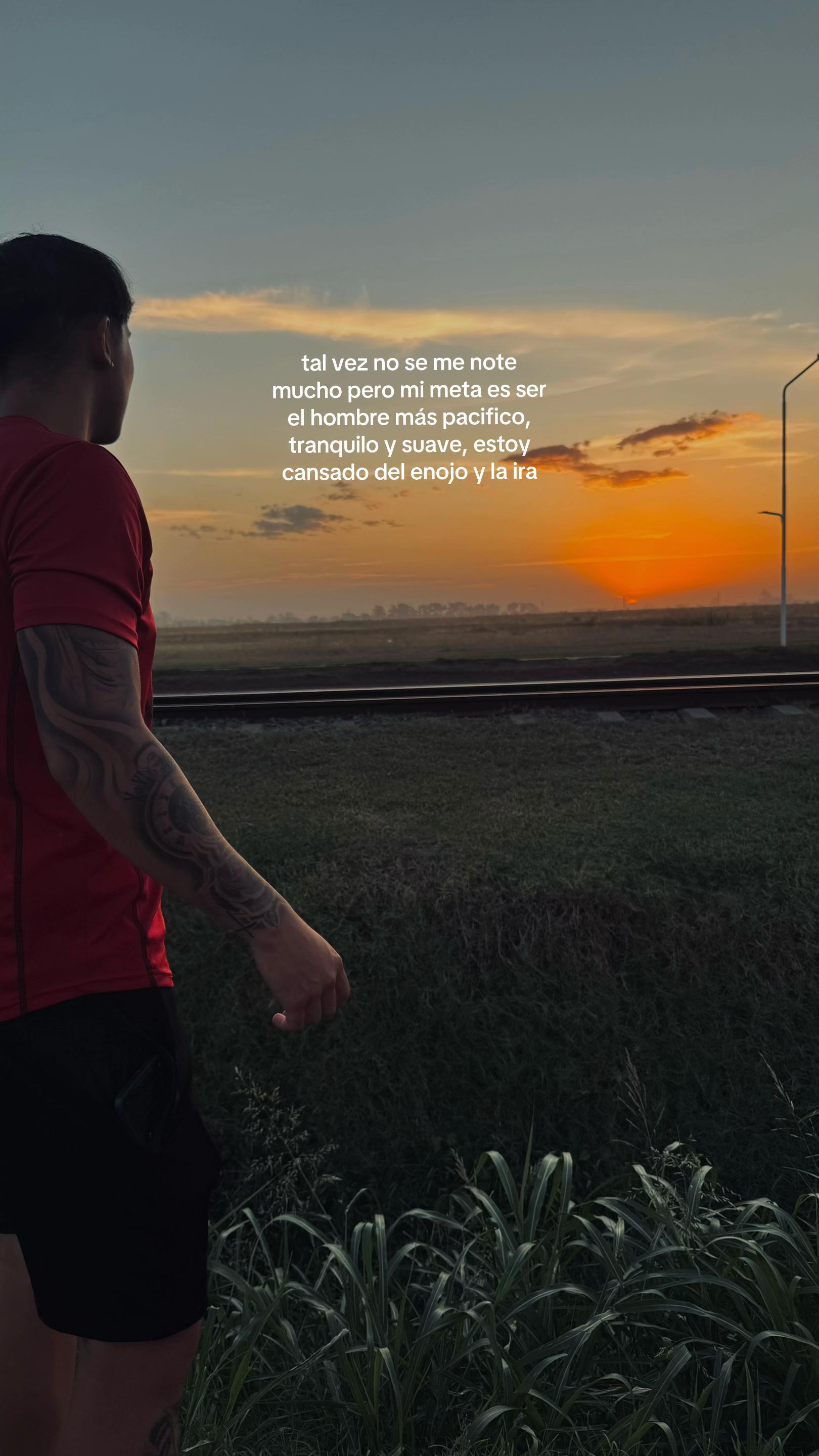 @joaquín sermoneta