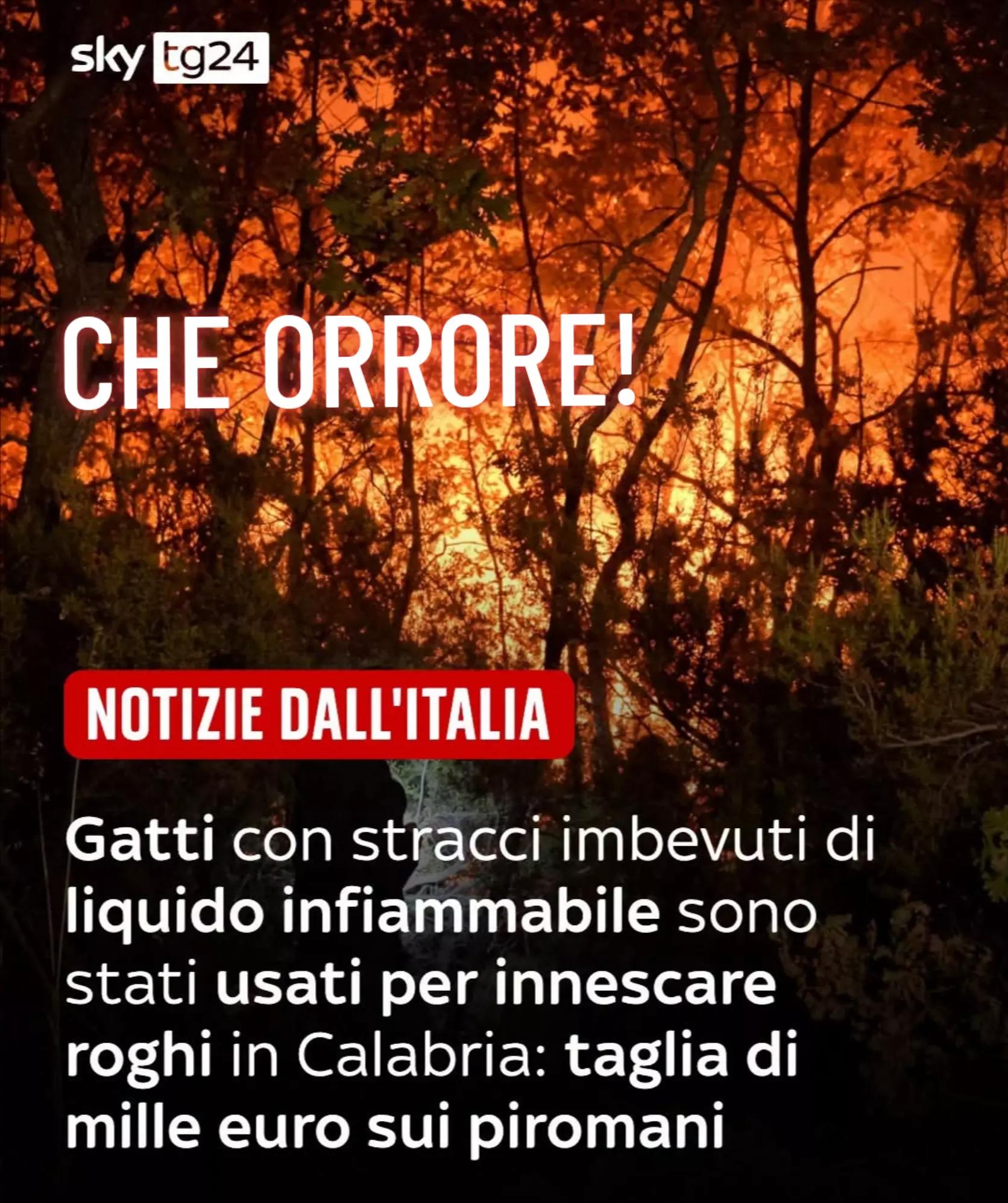 @Liliana Cavaliere