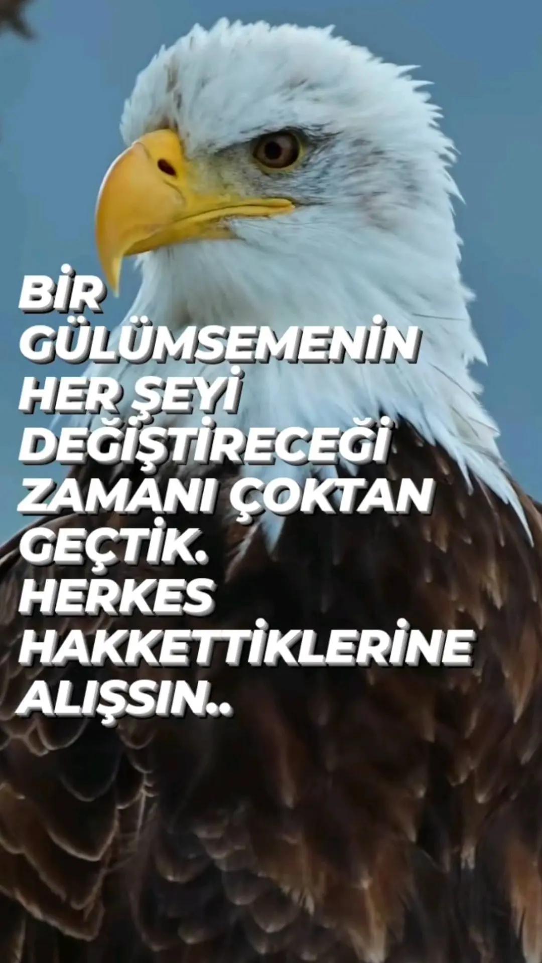 @Evlaat
