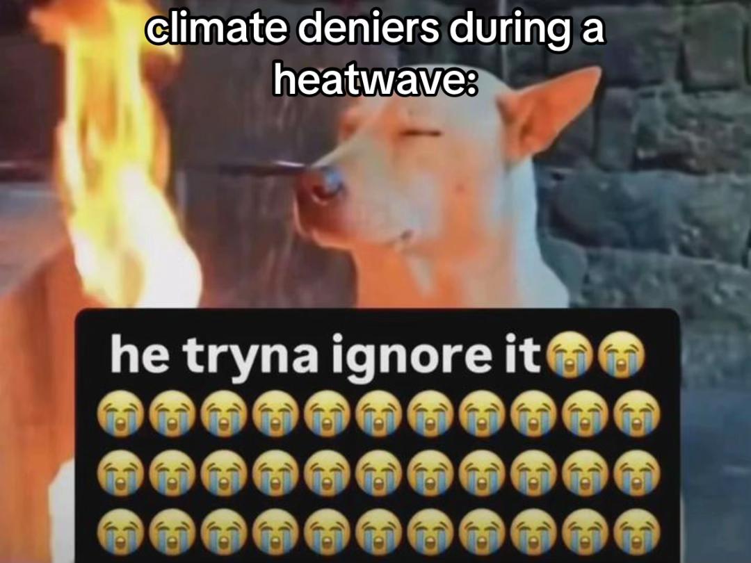 @Greenpeace UK