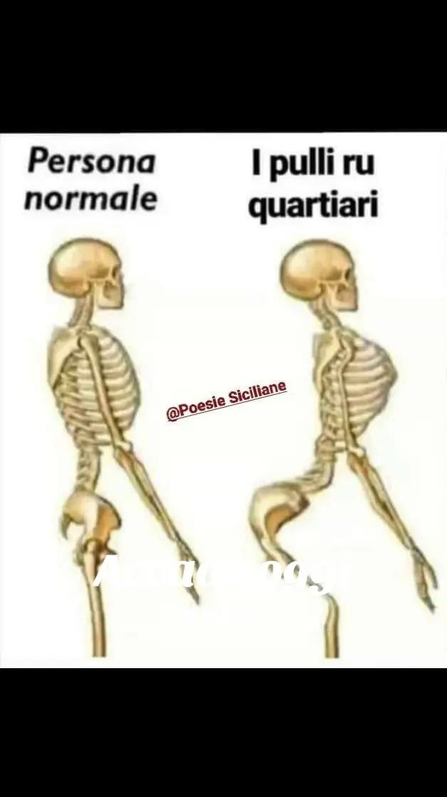 @franci