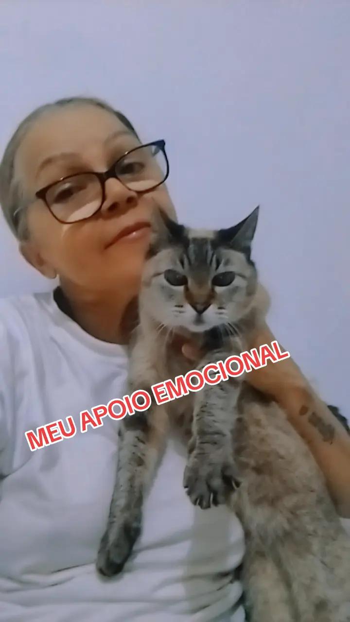 @María da Penha honorato
