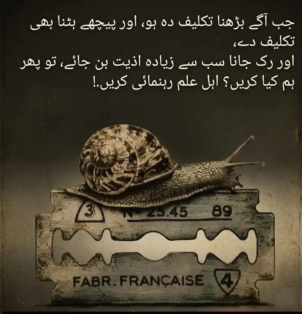 @FK Fanny