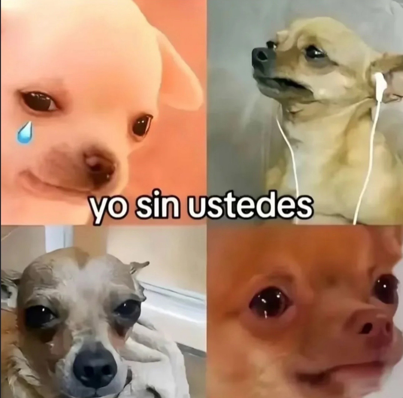 @astrid