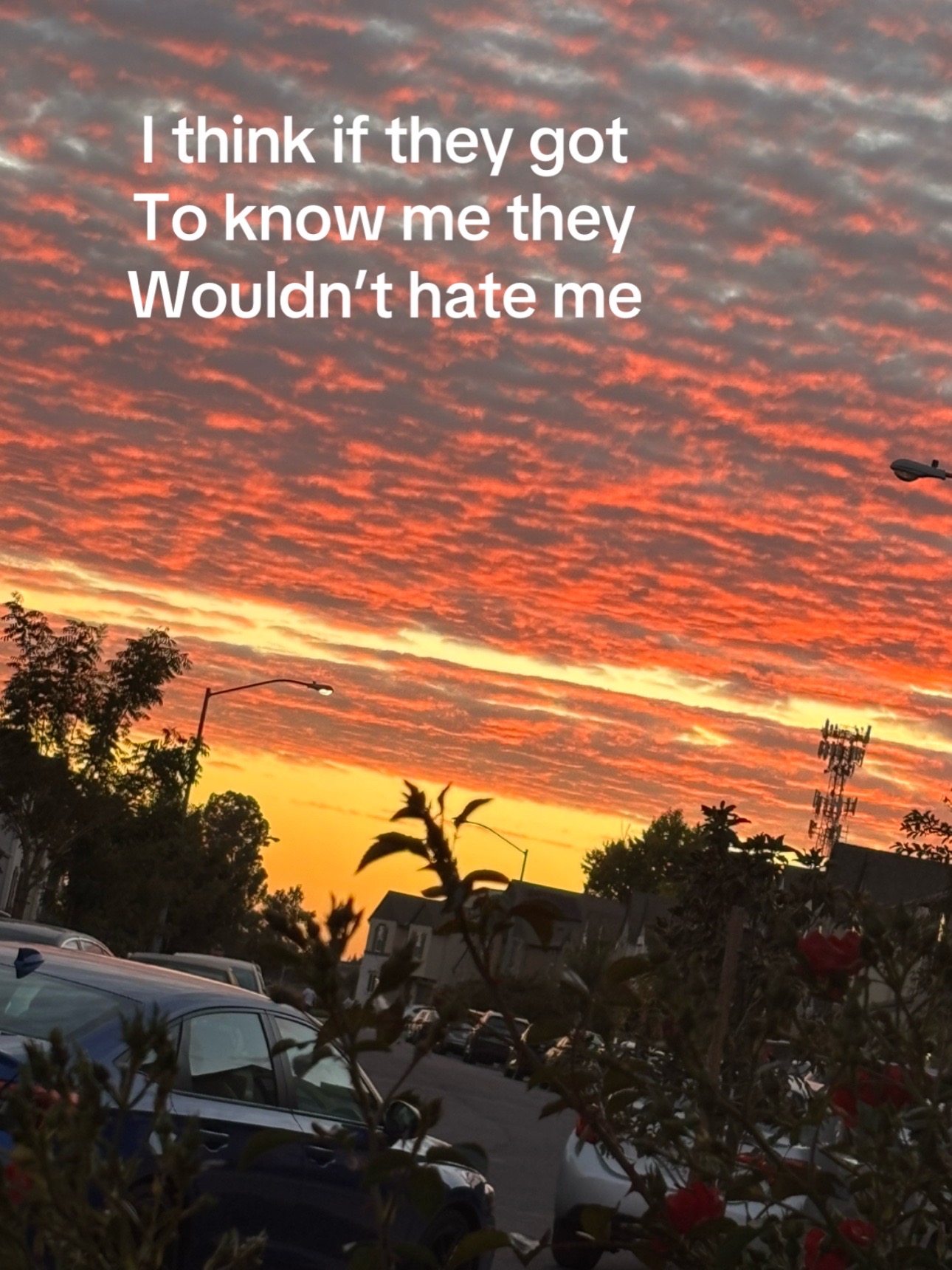 @The goat