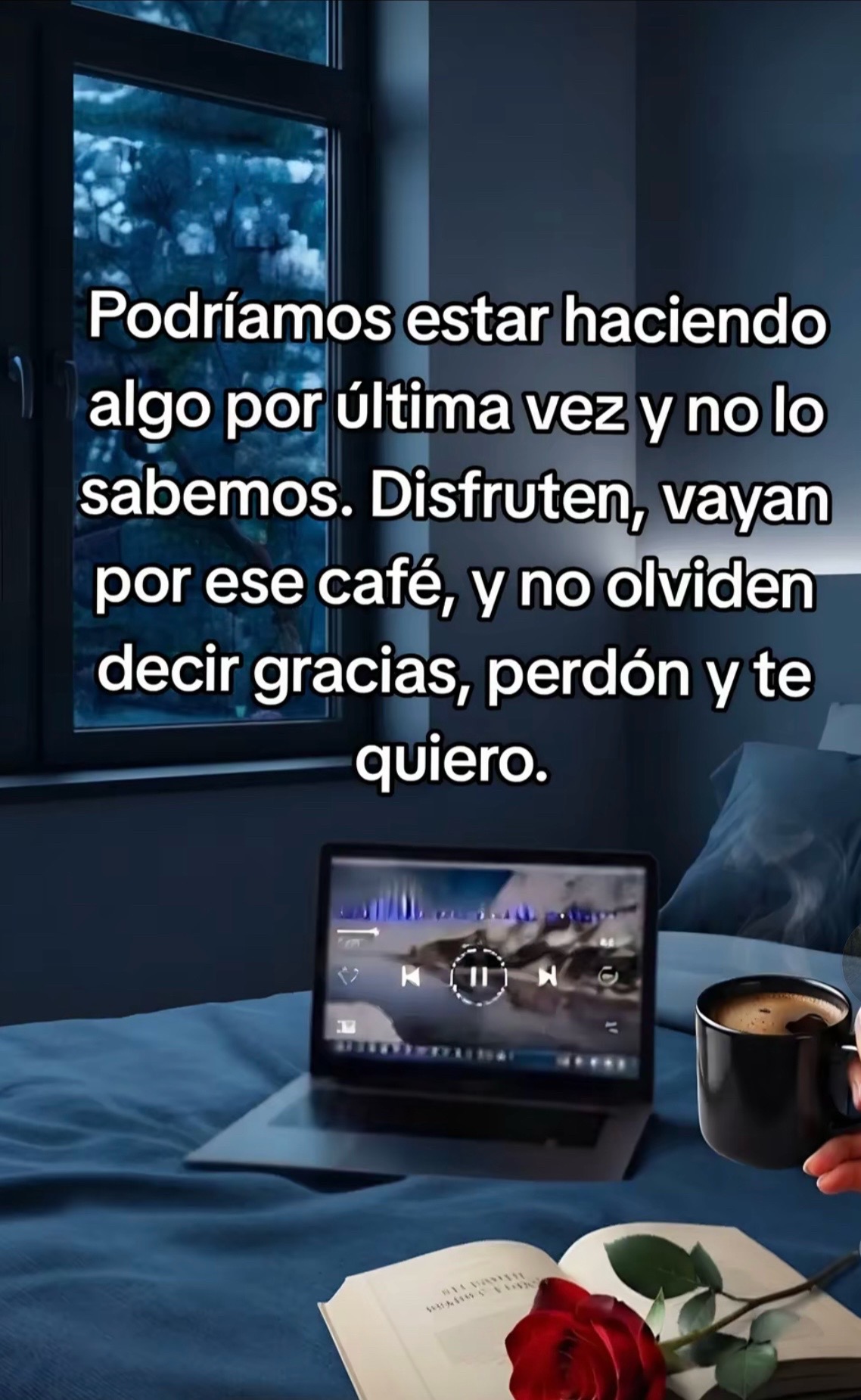 @La.beba25๐V๐๐๐๐ท๐ฑ๐ค๐๐ชโฏ๏ธ