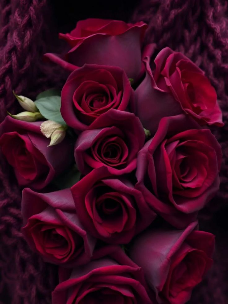 @_L_i_f_e_26