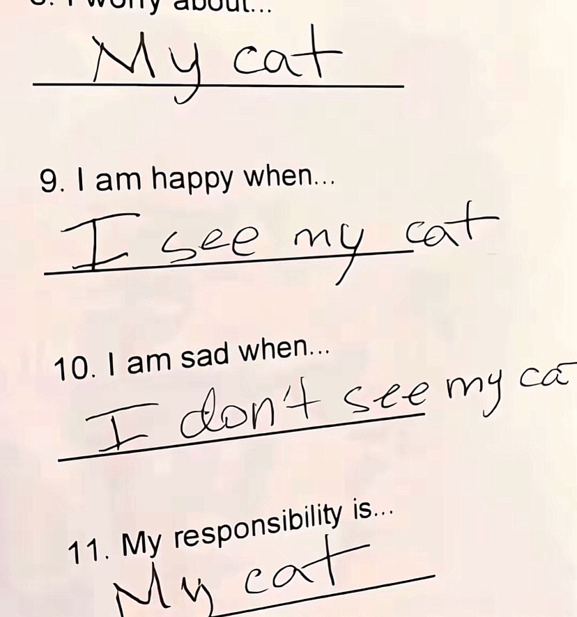 @😼