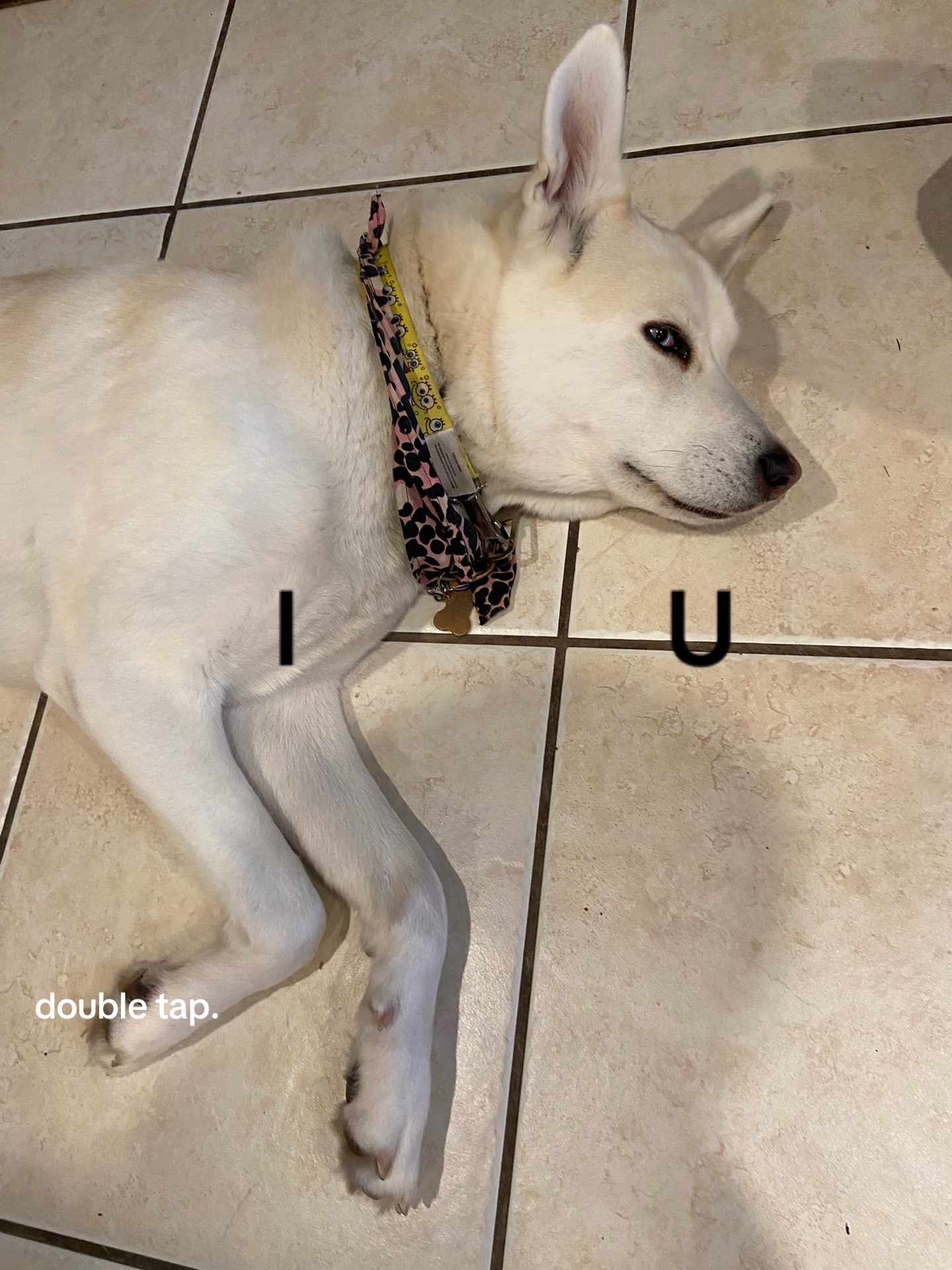 @3 :-$
